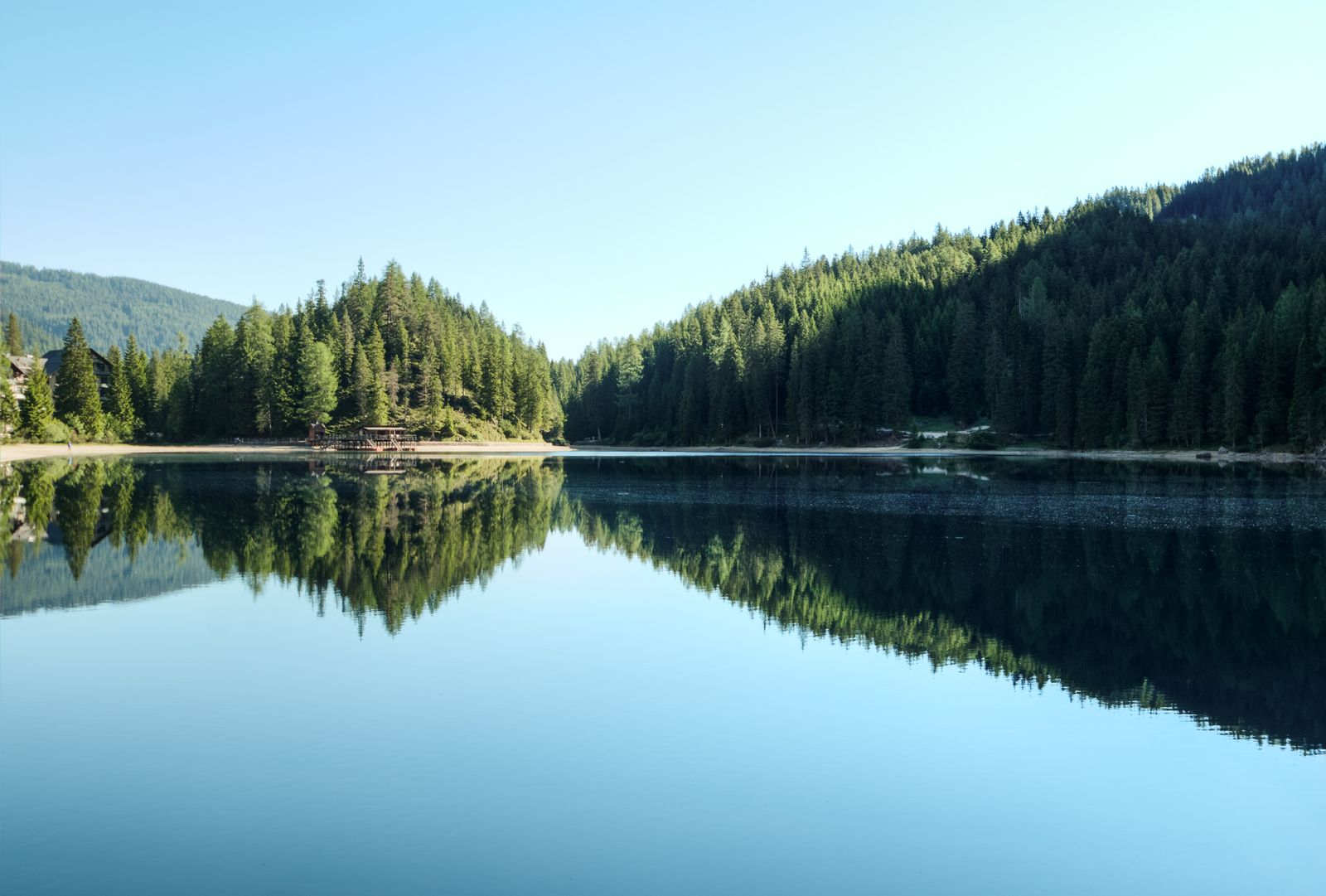 Evergreen forest beside a quiet lake